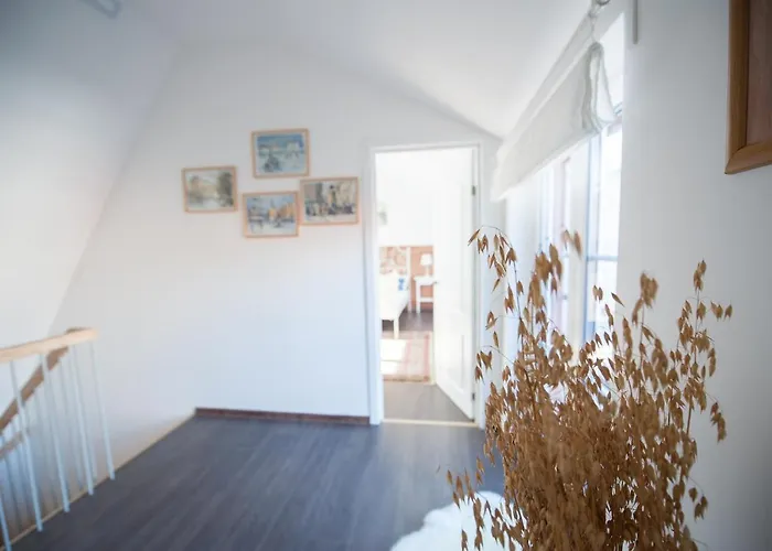 Old Town, 3 Bdr Penthouse, 100 M2 With Terrace Butas *